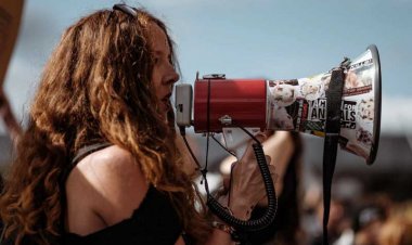 Are you a loudspeaker, if not, then what?