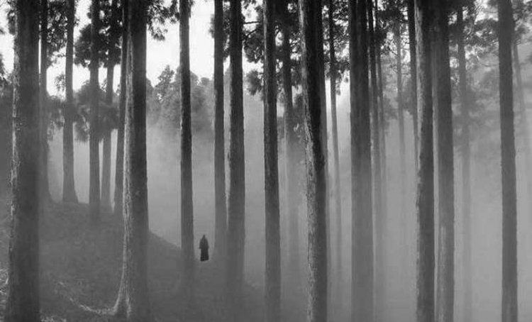 कुर्सियांग के जंगल में घूमता सिर कटा व्यक्ति
