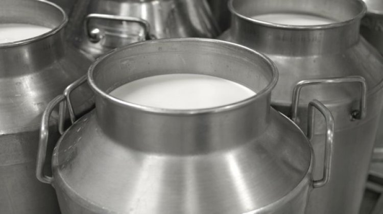 The world's largest producer of milk. India passed the European Union with production leading over 132.4m tonnes in 2014.